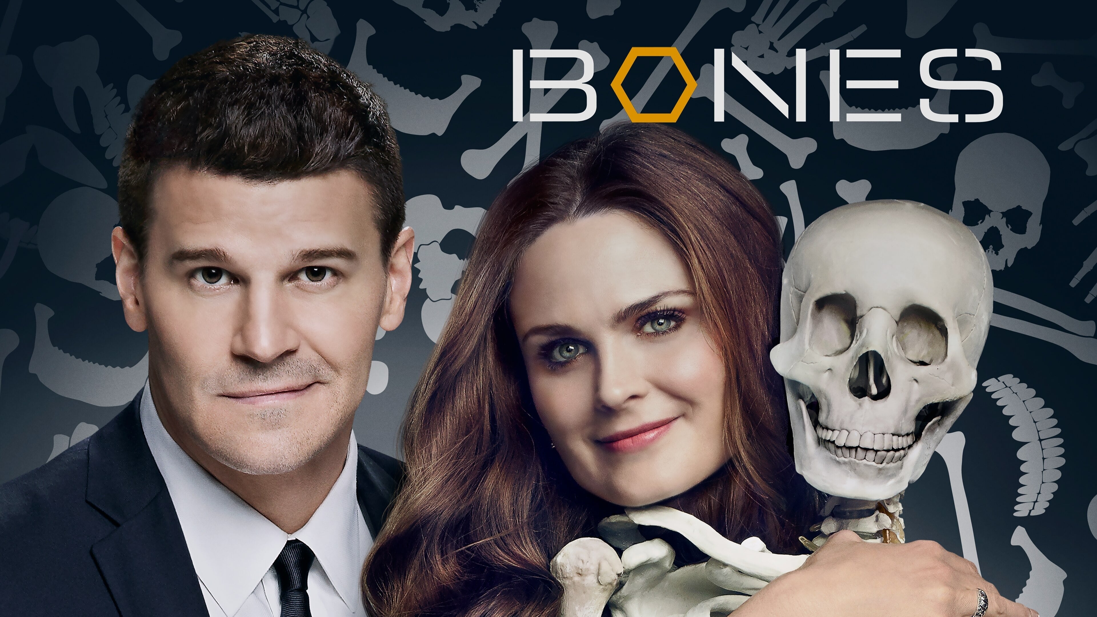 Bones Season 12 (2016) พลิกซากปมมรณะ ปี 12