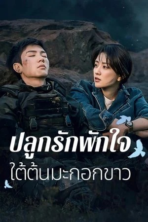 ปลูกรักพักใจ ใต้ต้นมะกอกขาว [พากย์ไทย] 1-38จบ